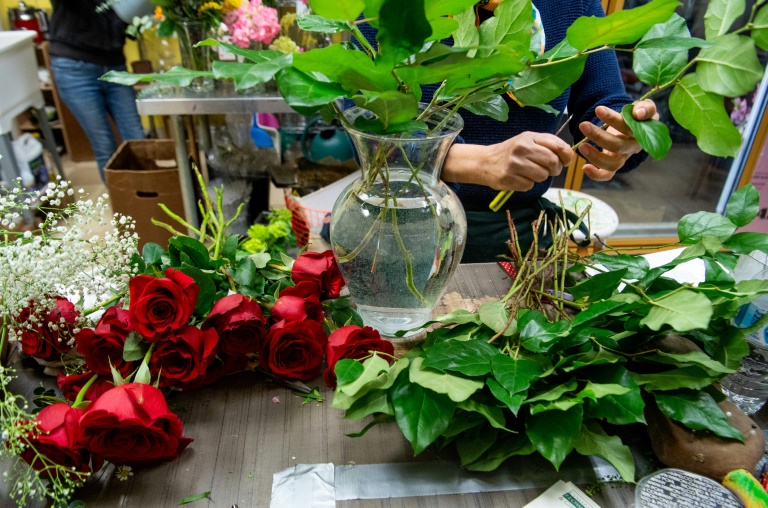 Décès d'une fillette liée aux pesticides: la famille se pourvoit en cassation