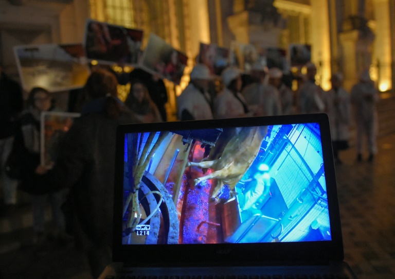 Maltraitance animale: appel à une inspection généralisée des abattoirs