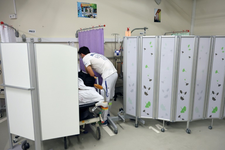 Chikungunya à La Réunion : toujours 