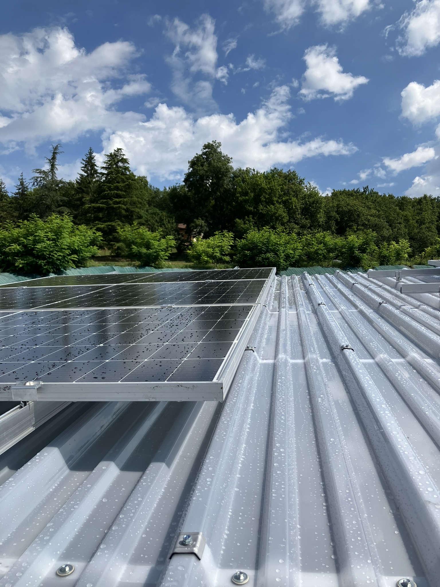 Renolit Ondex, à Chevigny-Saint-Sauveur, mise sur le PVC pour le solaire