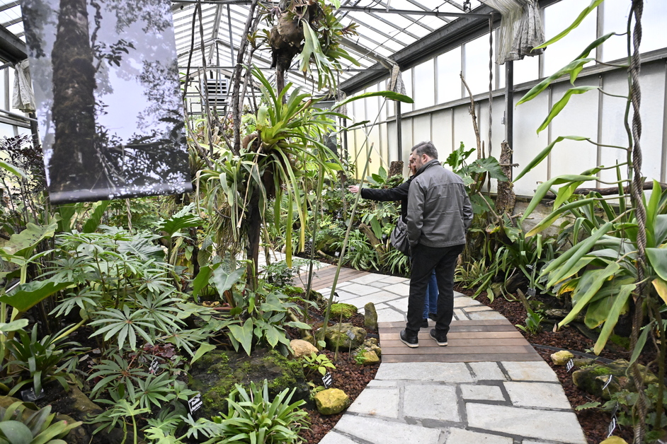 Le Jardin Botanique de Metz décroche le label «Jardin remarquable»