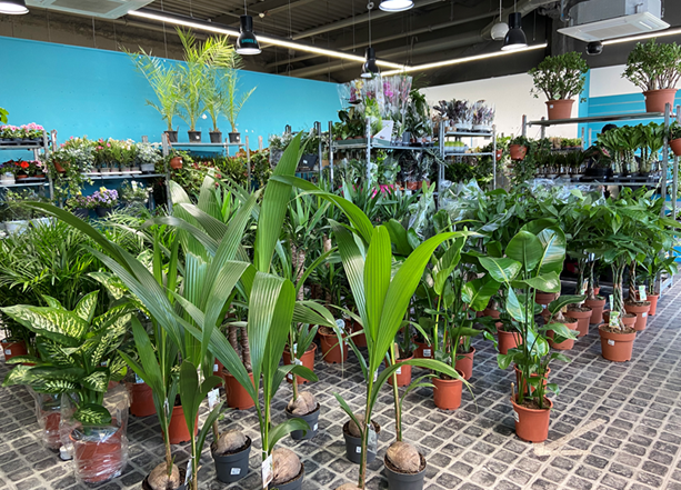 Objectif Plantes arrive à Muse pour une grande vente végétale éphémère 