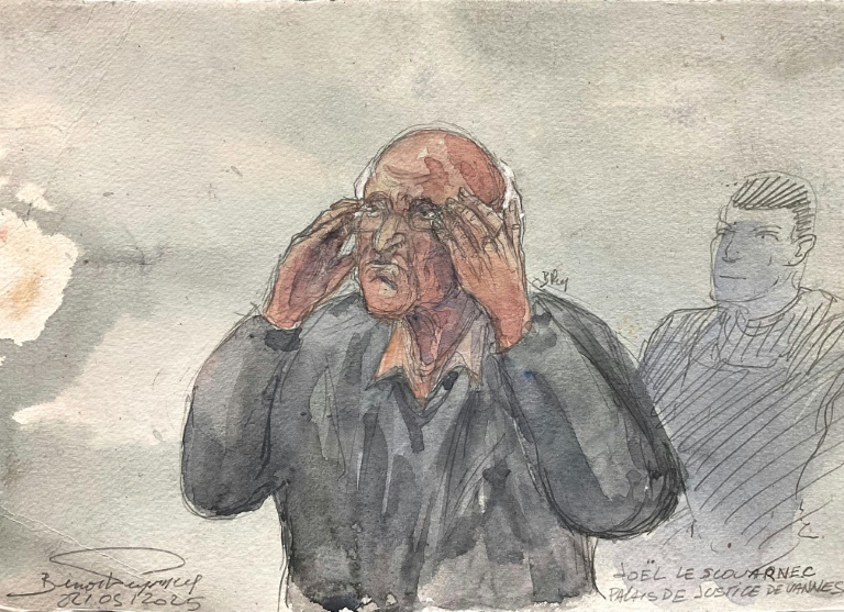 Procès Le Scouarnec: le maximum de 20 ans de réclusion requis, avec rétention de sûreté