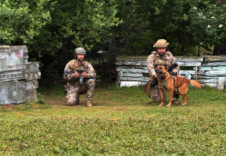 Le drone, laisse invisible pour guider les chiens militaires