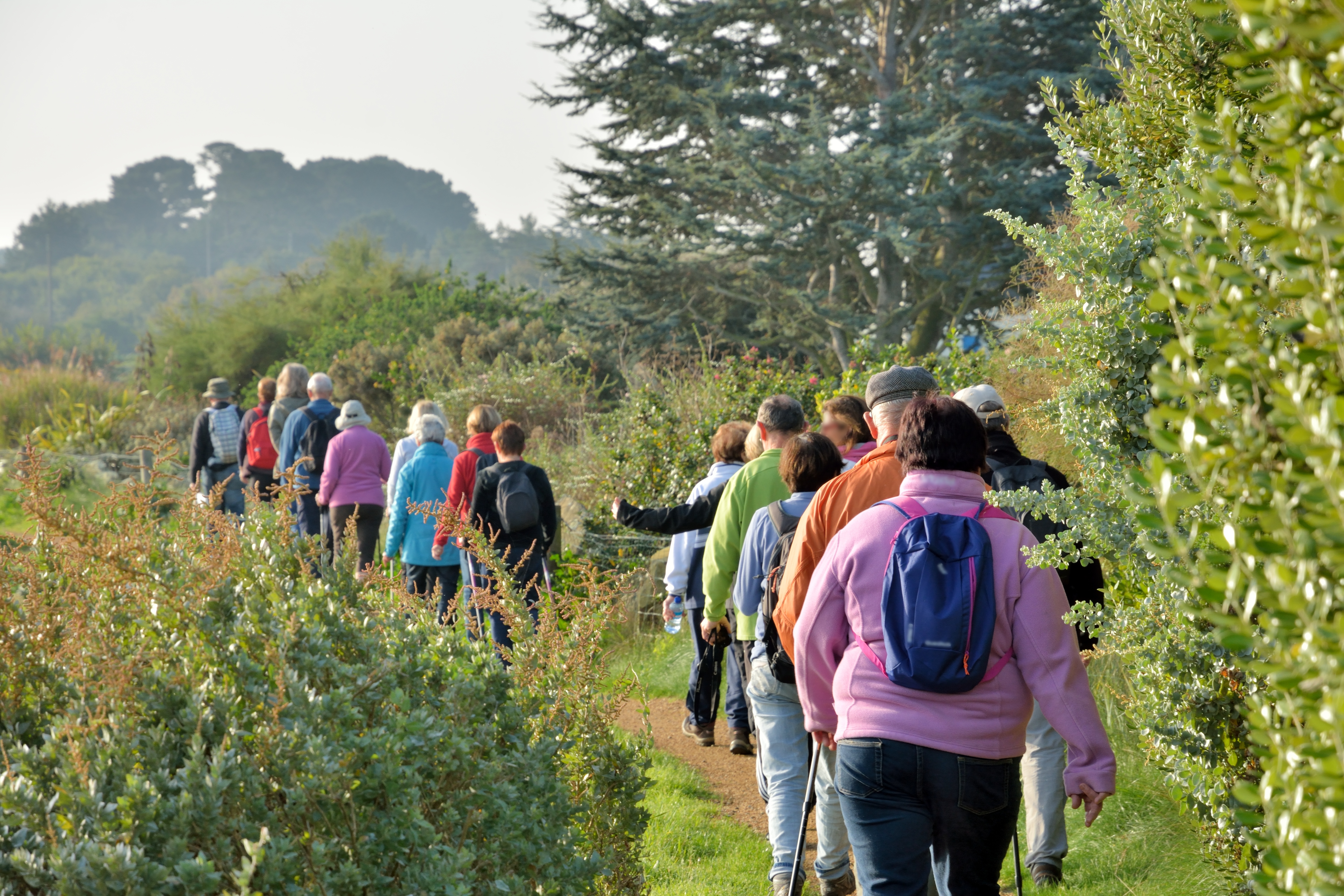 Immersion dans la richesse naturelle sarregueminoise 