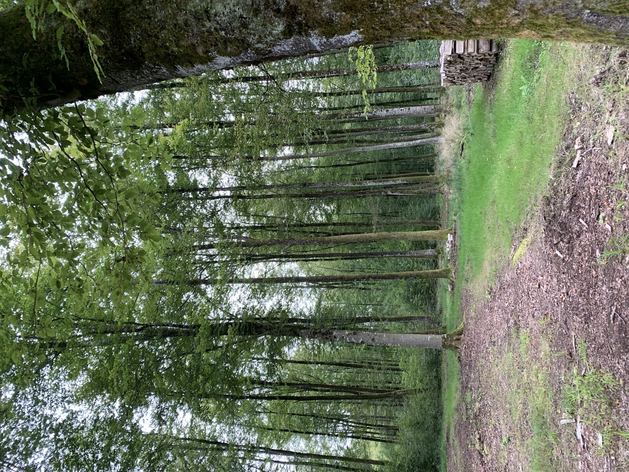 Le Groupe CAM poursuit le développement de son patrimoine forestier