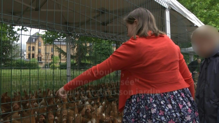 En Alsace, distribution gratuite de poules anti-gaspi