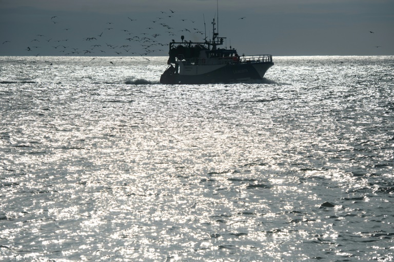 Chalutage: les annonces de Macron reçues avec scepticisme par les ONG