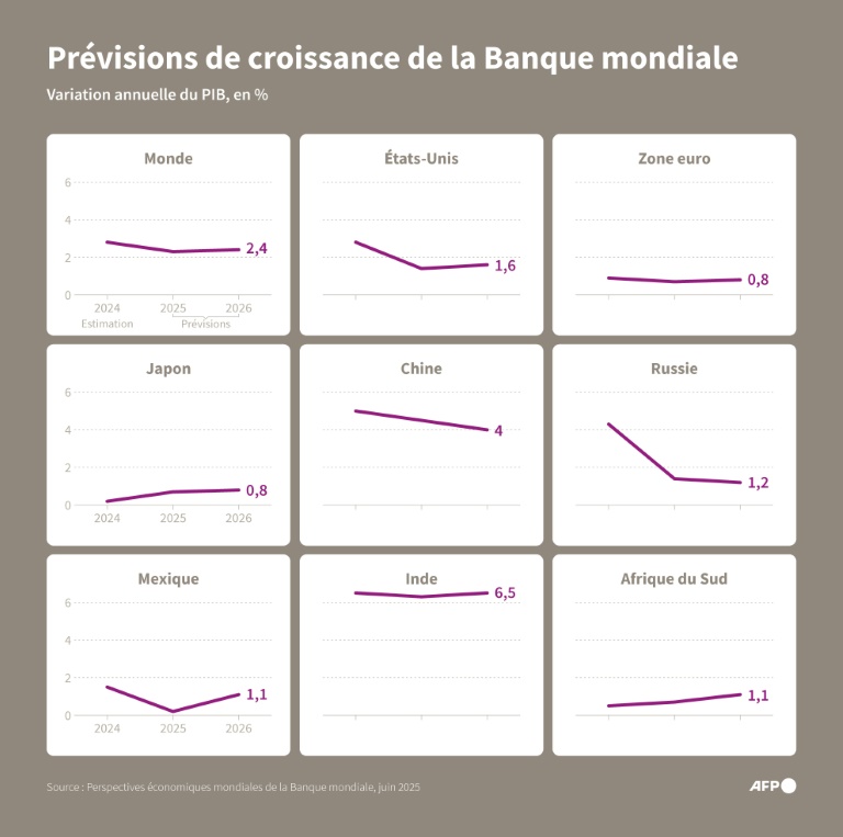 La Banque mondiale revoit en baisse ses prévisions de croissance pour 2025