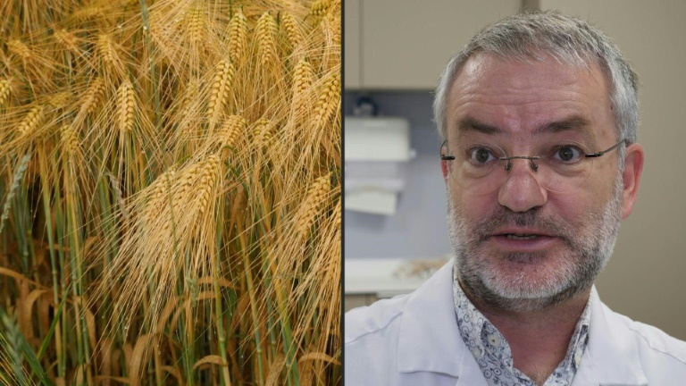 Contamination au cadmium: des dépistages remboursés 