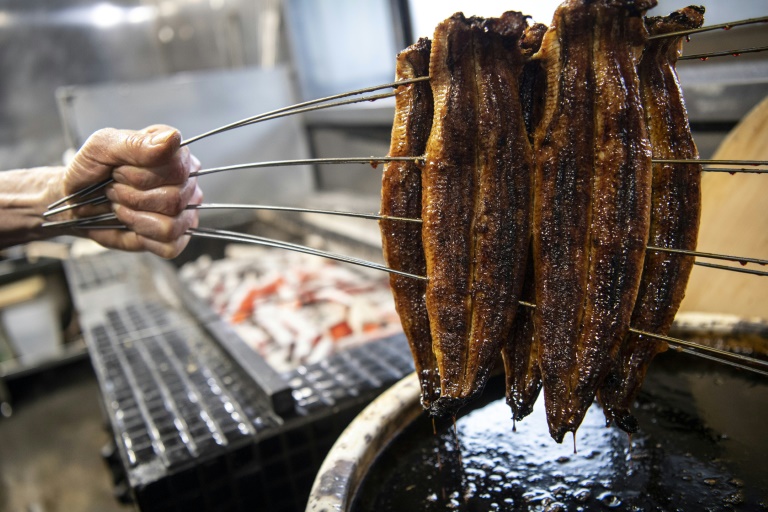 Le Japon s'oppose à un projet de l'UE visant à restreindre le commerce des anguilles