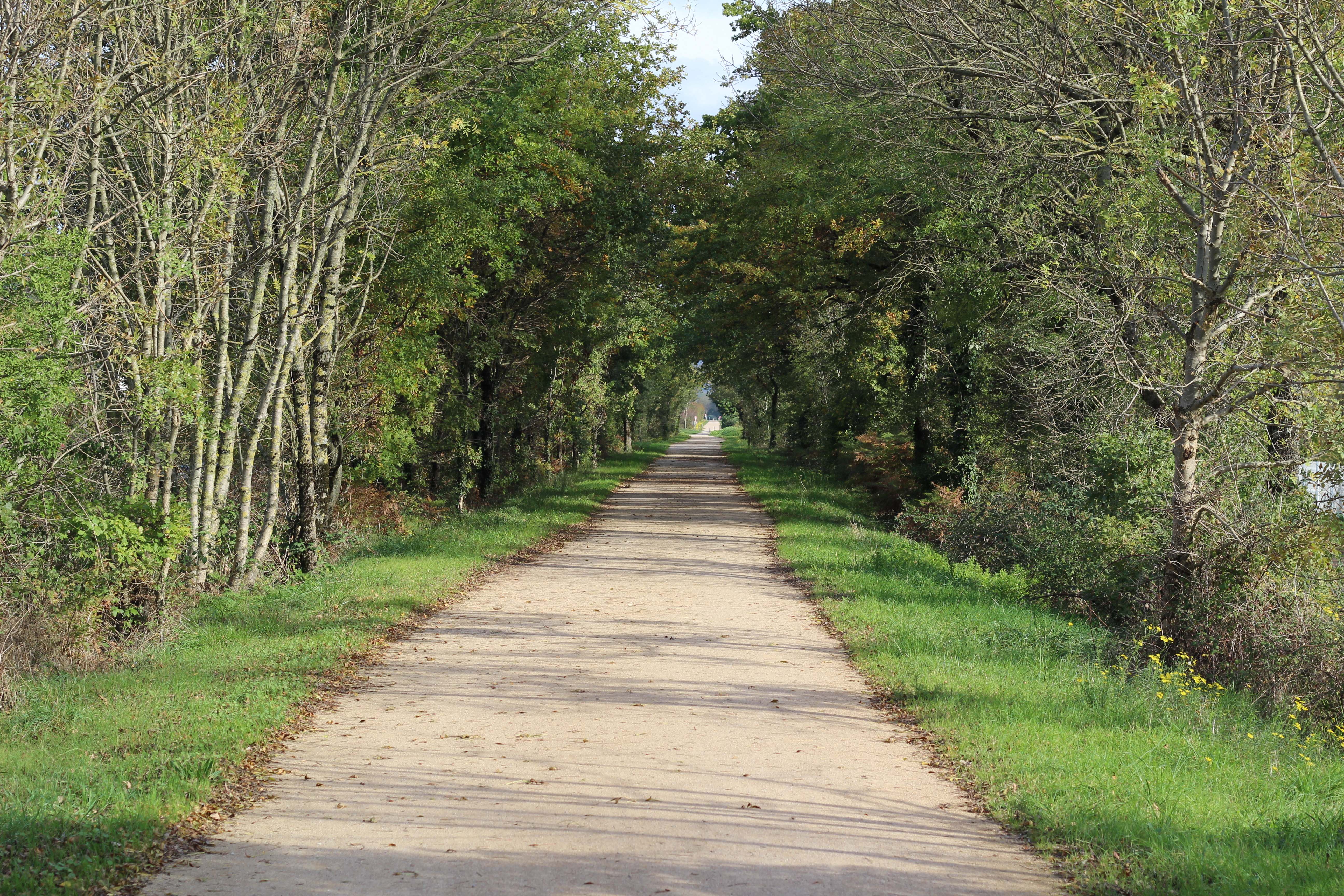 Nouvelle section sécurisée pour la voie verte en Saône-et-Loire