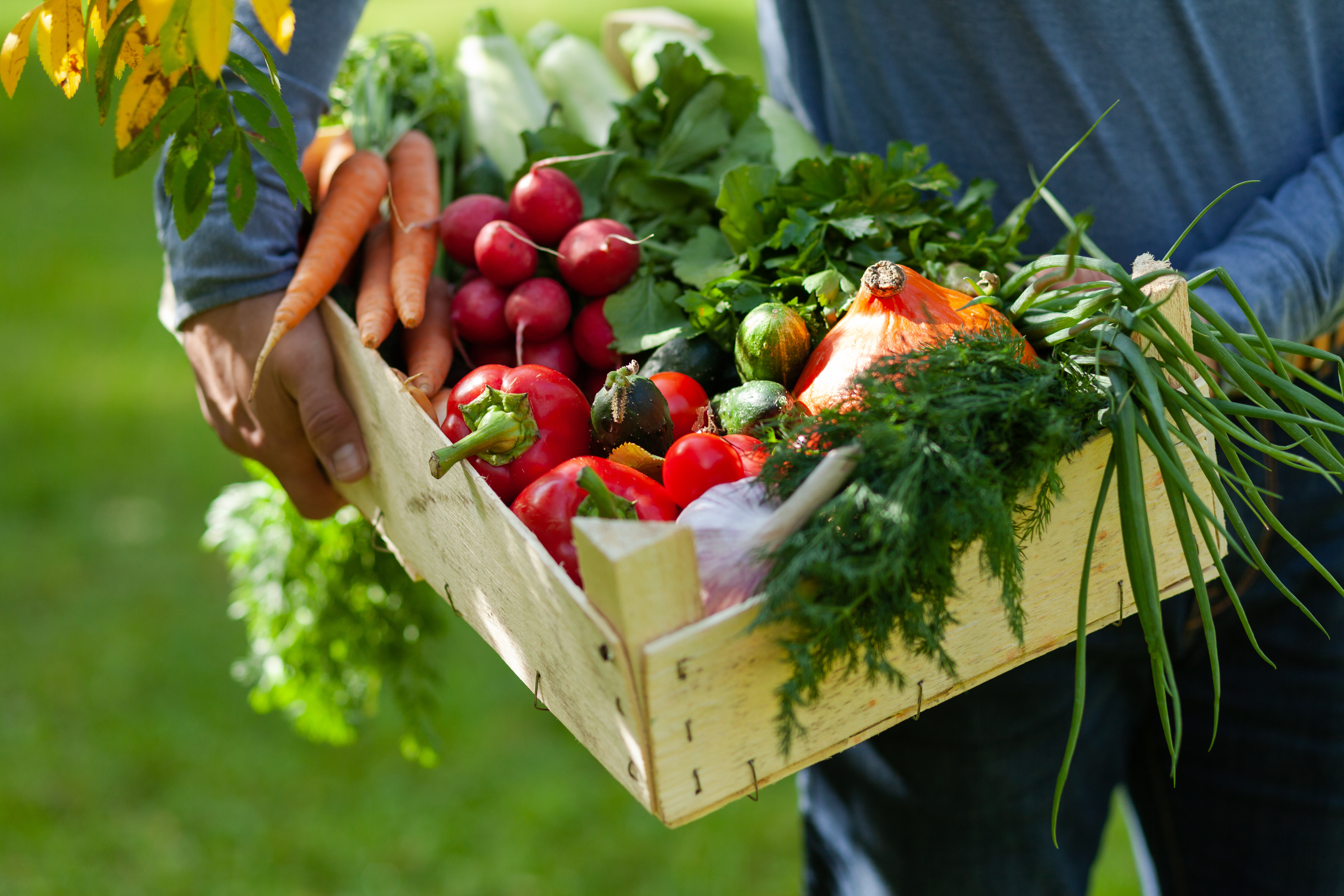 L'agence bio est à l'os