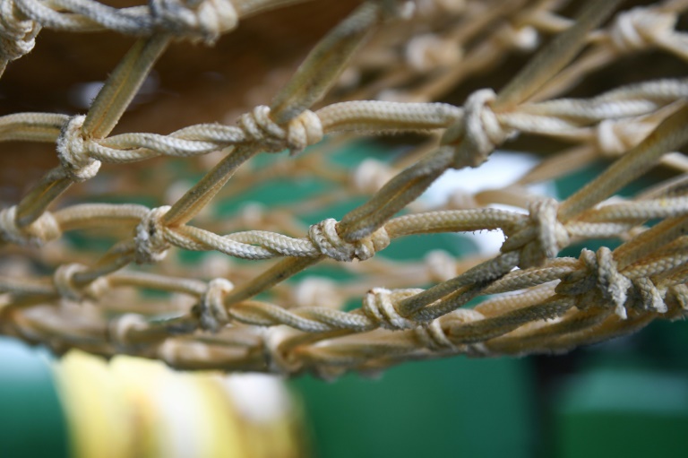 Océans: l'association Bloom attaque l'Etat pour tenter d'interdire le chalutage de fond en France