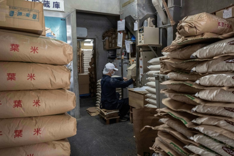 Commerce: le riz, dilemme épineux pour Tokyo dans ses négociations avec Trump