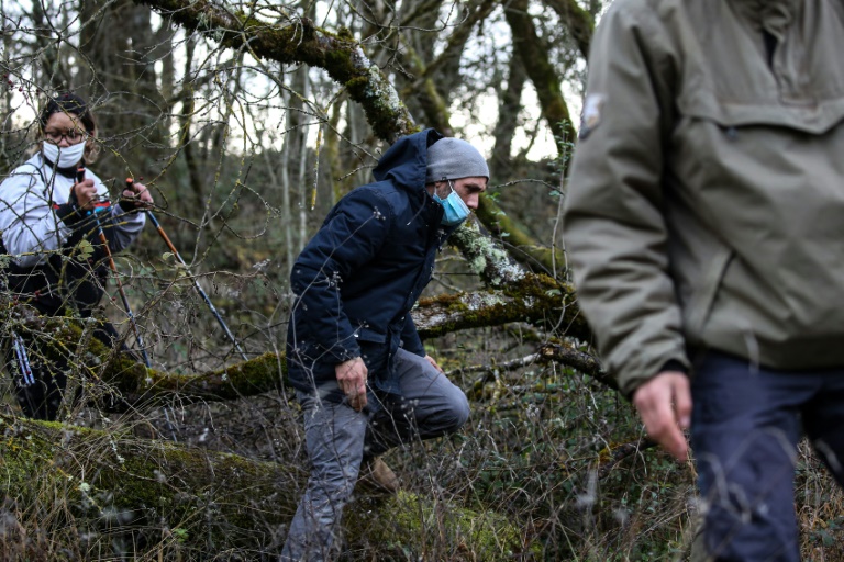Affaire Jubillar : un témoignage surprise à quelques semaines du procès d'assises