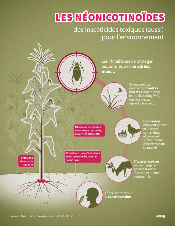 Néonicotinoïdes: des motifs d'inquiétudes pour la santé humaine mais manque d'études d'ampleur
