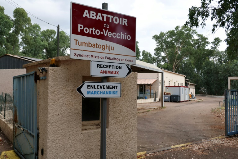 Maltraitance animale: plainte de L214 contre l'abattoir de Porto-Vecchio