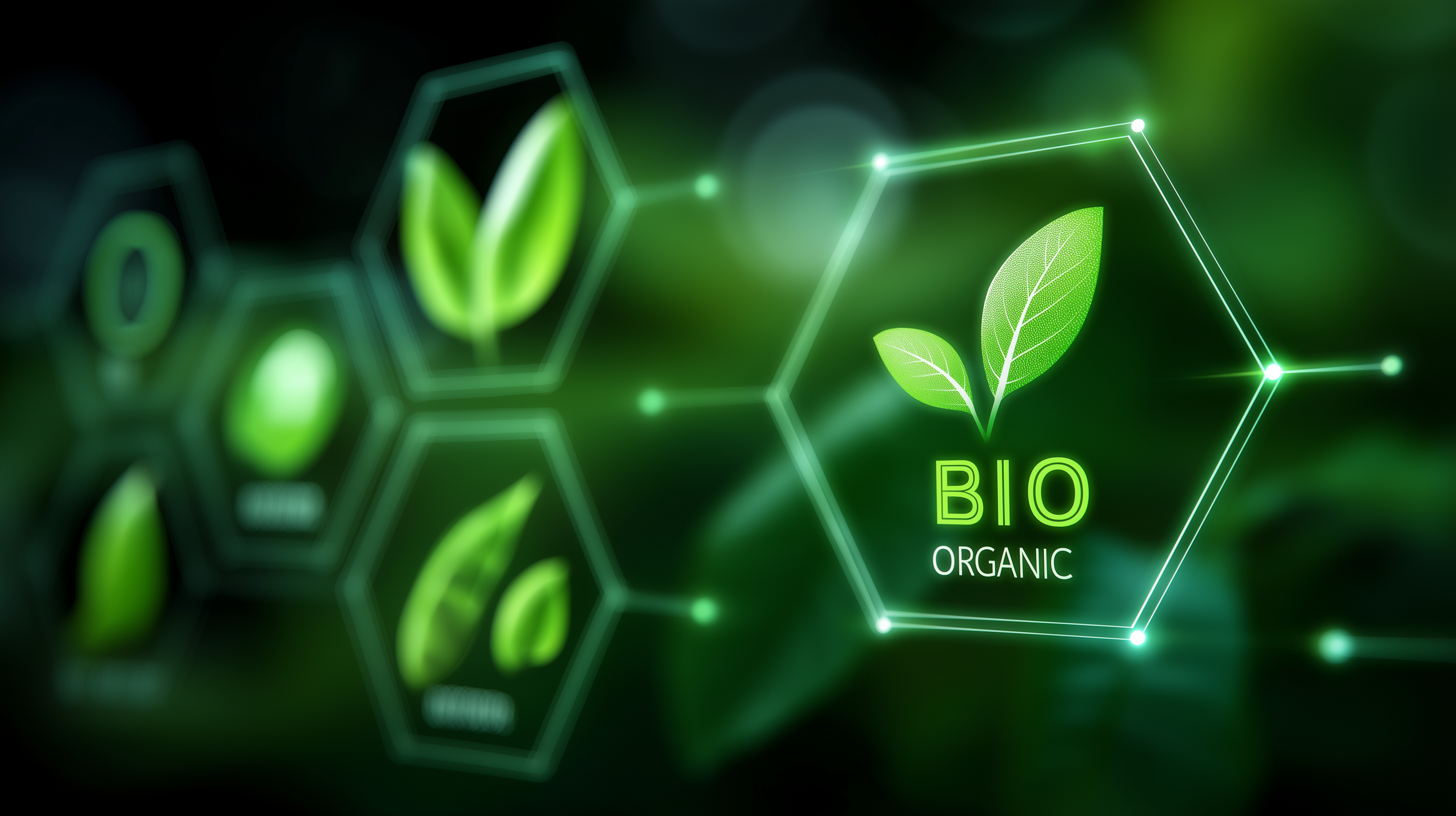 Salon Bio&Co d’Automne : un week-end de découverte et de bien-être 