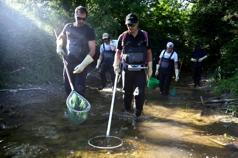 Sécheresse: en Charente, des pêcheurs sauvent des poissons d'un 