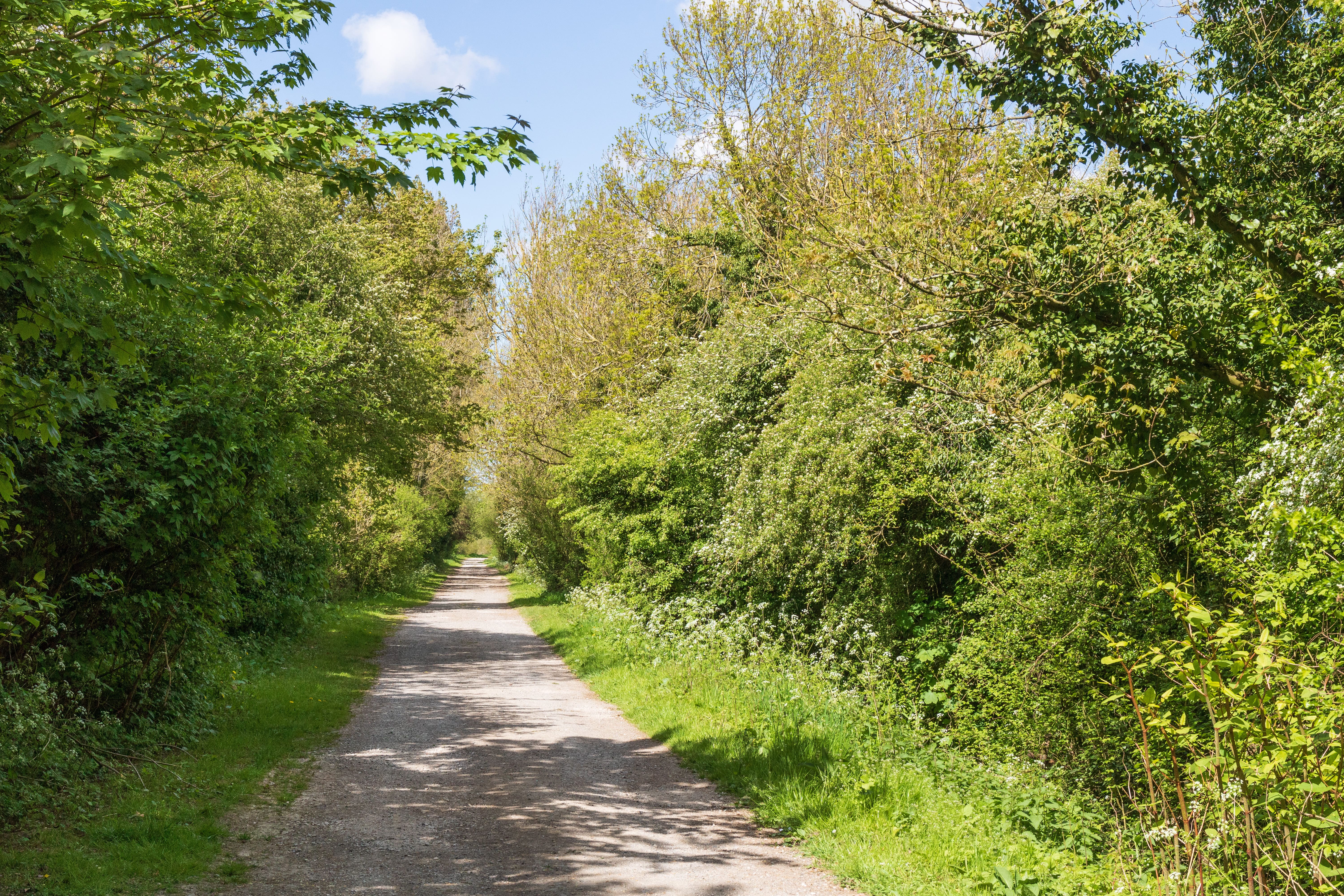 Travaux de réfection sur la voie verte de Givry