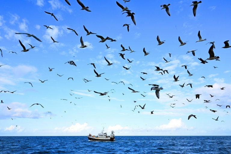 Les pêcheurs français réunis à Boulogne-sur-Mer pour défendre leurs accès à la mer