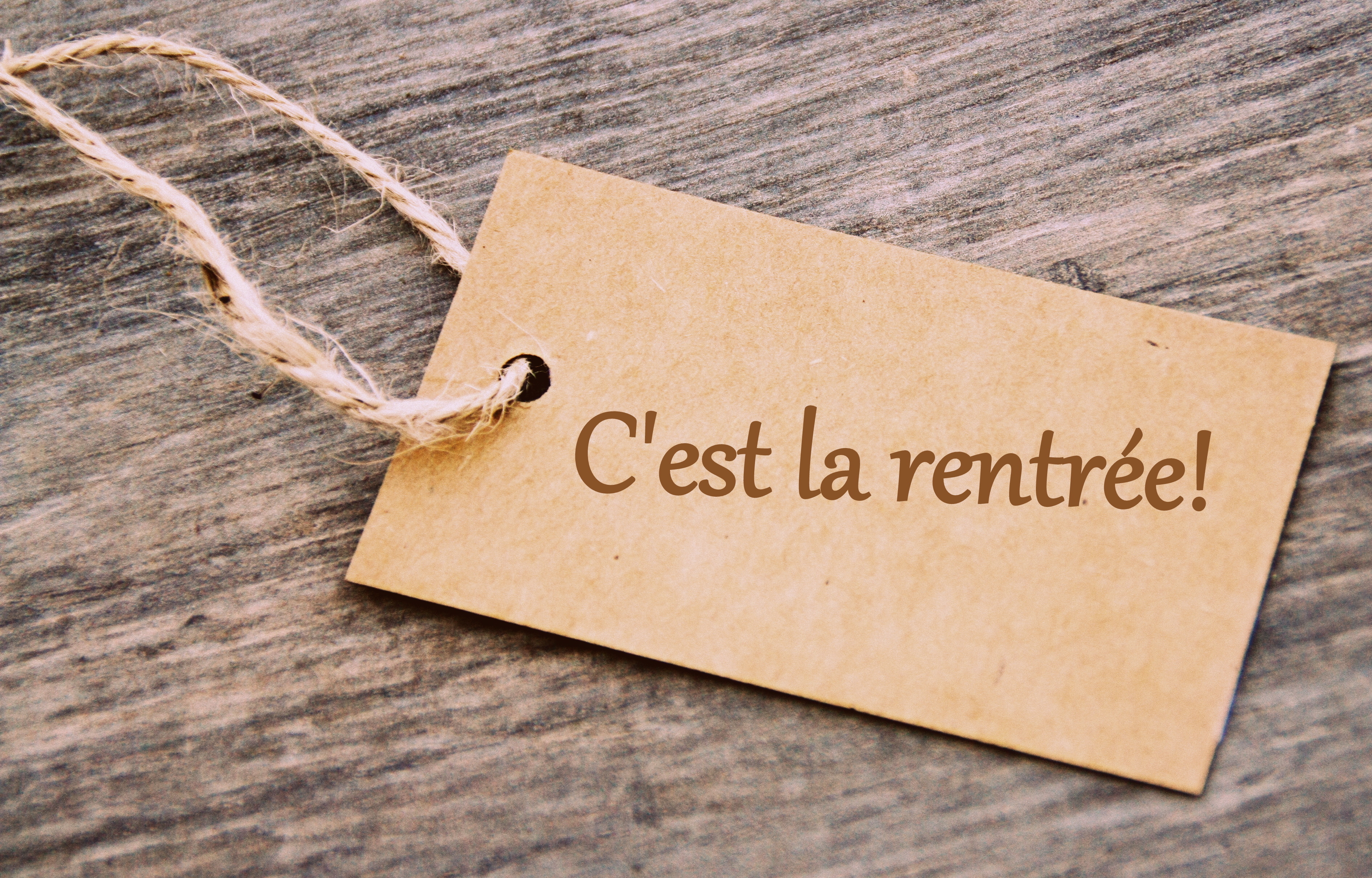 Le Creusot : 1,2 million d'euros investis pour la rentrée scolaire