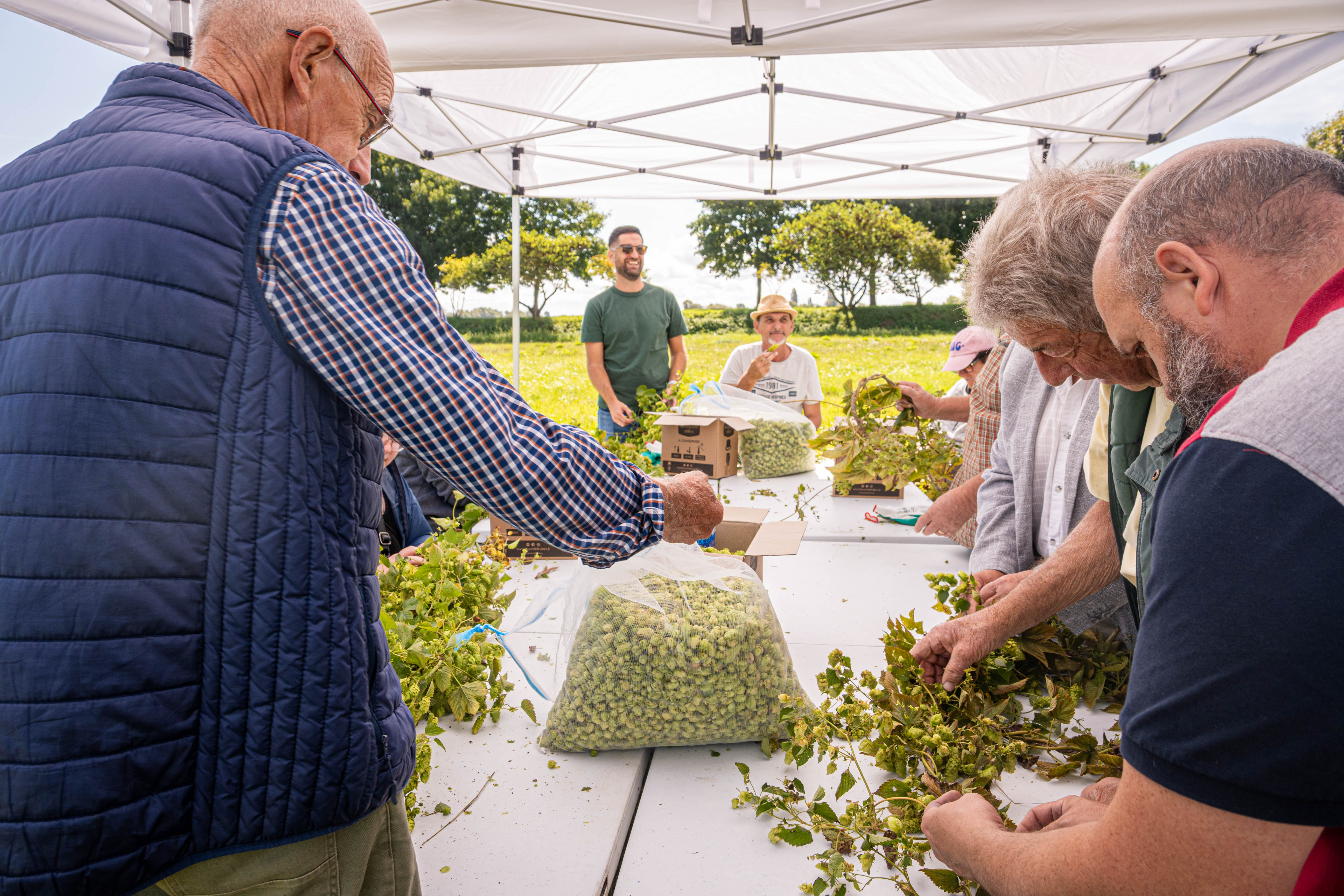 La Plaine Dijonnaise concilie insertion professionnelle et environnement