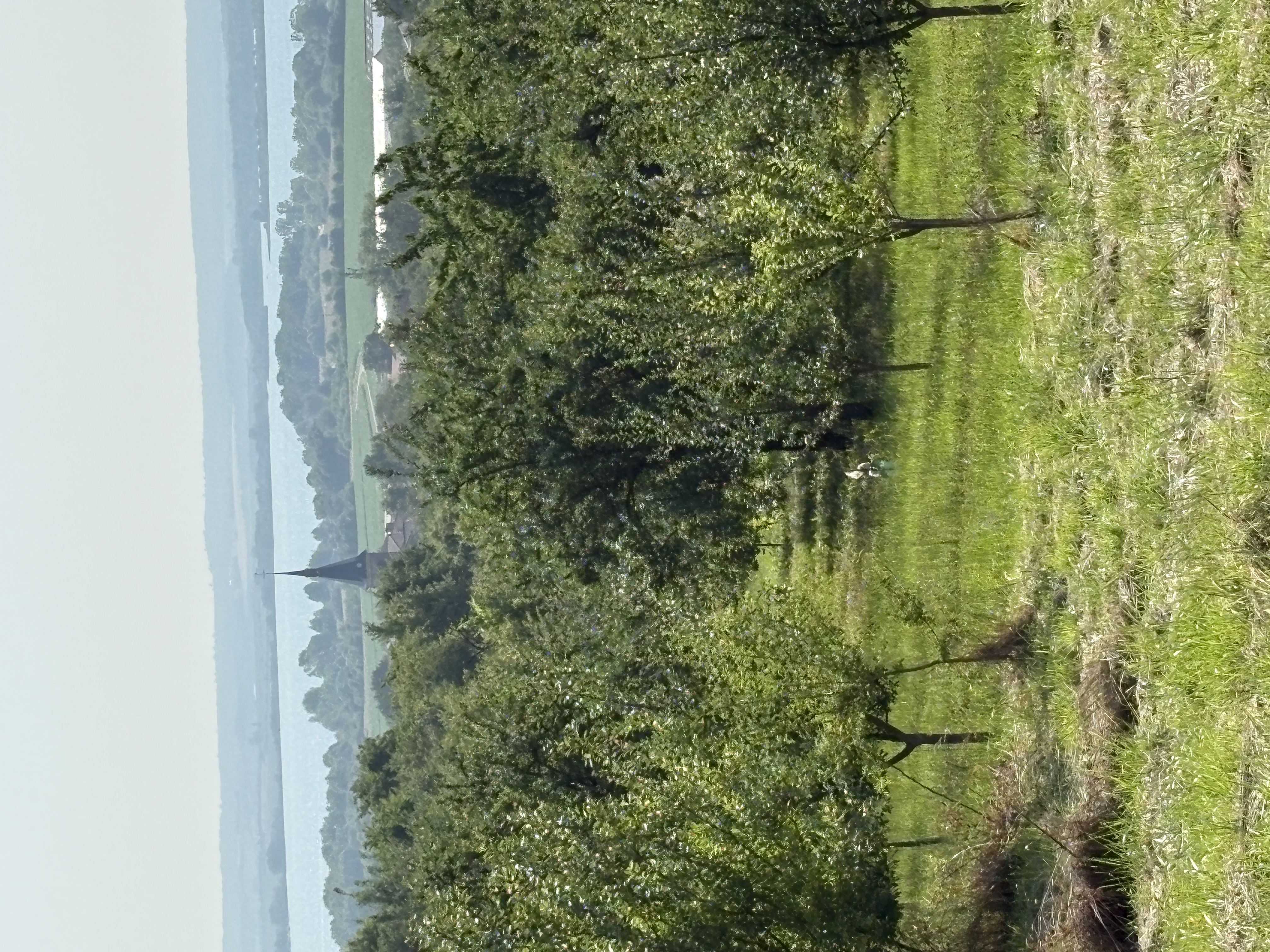 Des données touristiques partielles mais encourageantes en Meuse