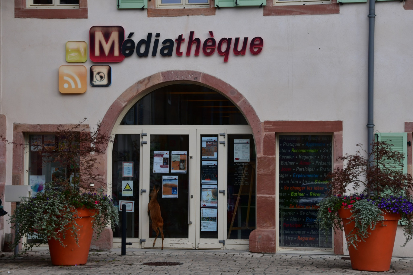 Patrimoine écrit en lumière dans les médiathèques du réseau Escales