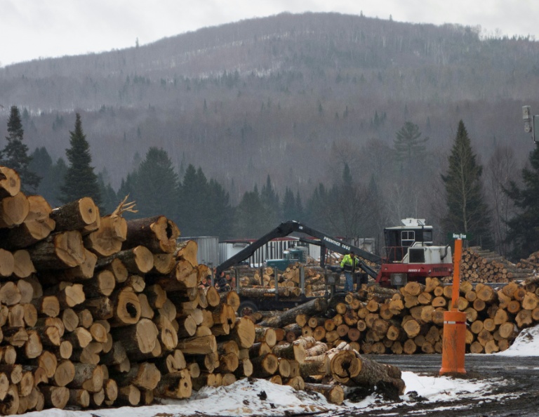 Le bois de construction et l'ameublement, nouvelles cibles des droits de douane de Donald Trump