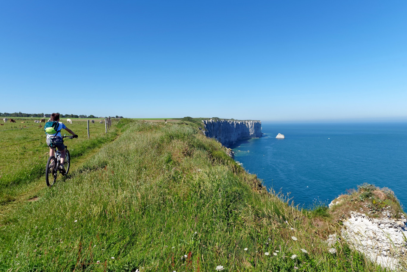 Tourisme en Normandie : une fréquentation stable et des professionnels satisfaits en 2025
