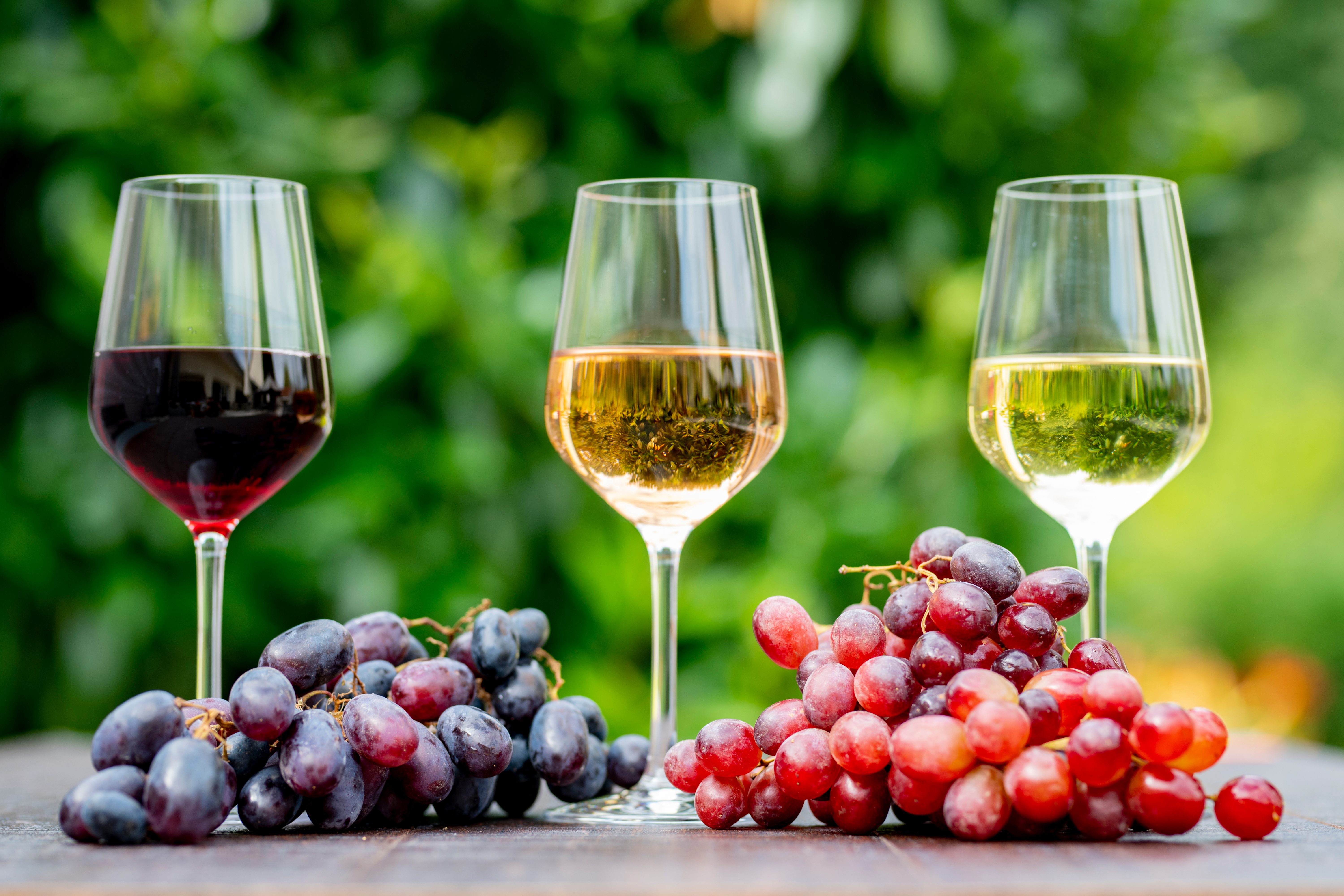 Volta : un projet pour sécuriser l’avenir économique des vins de Bourgogne