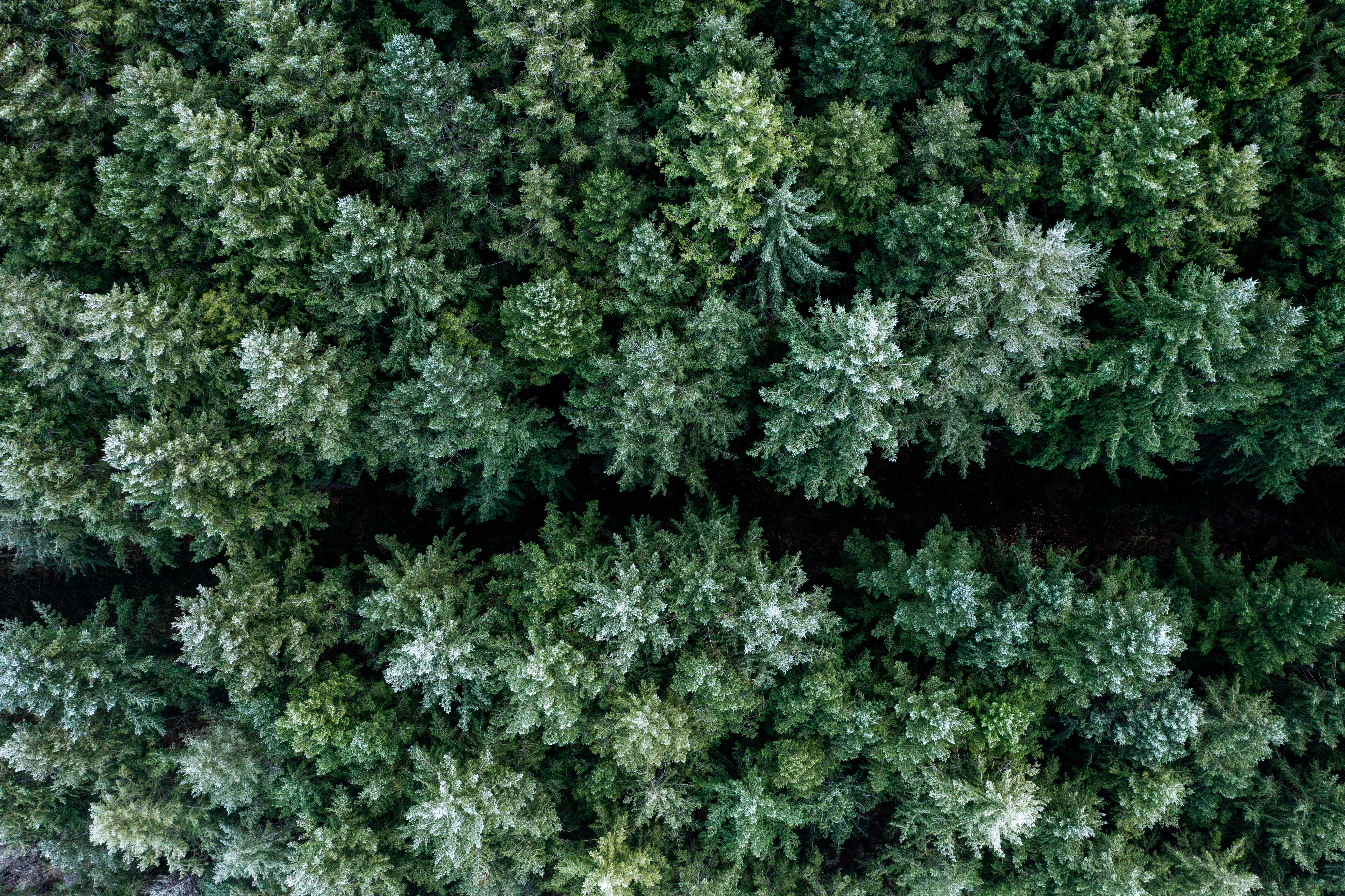 Horticulture en Saône-et-Loire : Le végétal, moteur d’emplois et de terroir