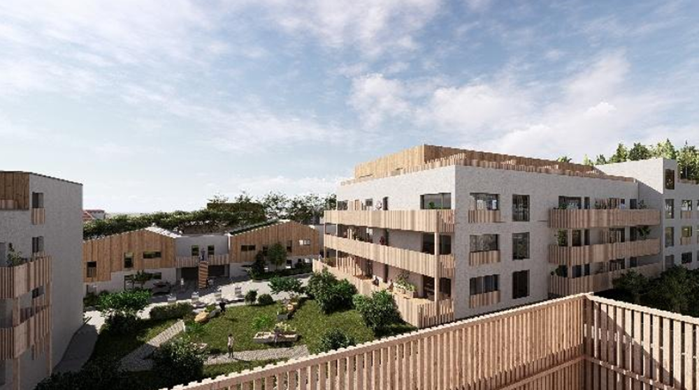 Les Constructeurs du Bois : une croissance soutenue malgré la hausse des charges financières