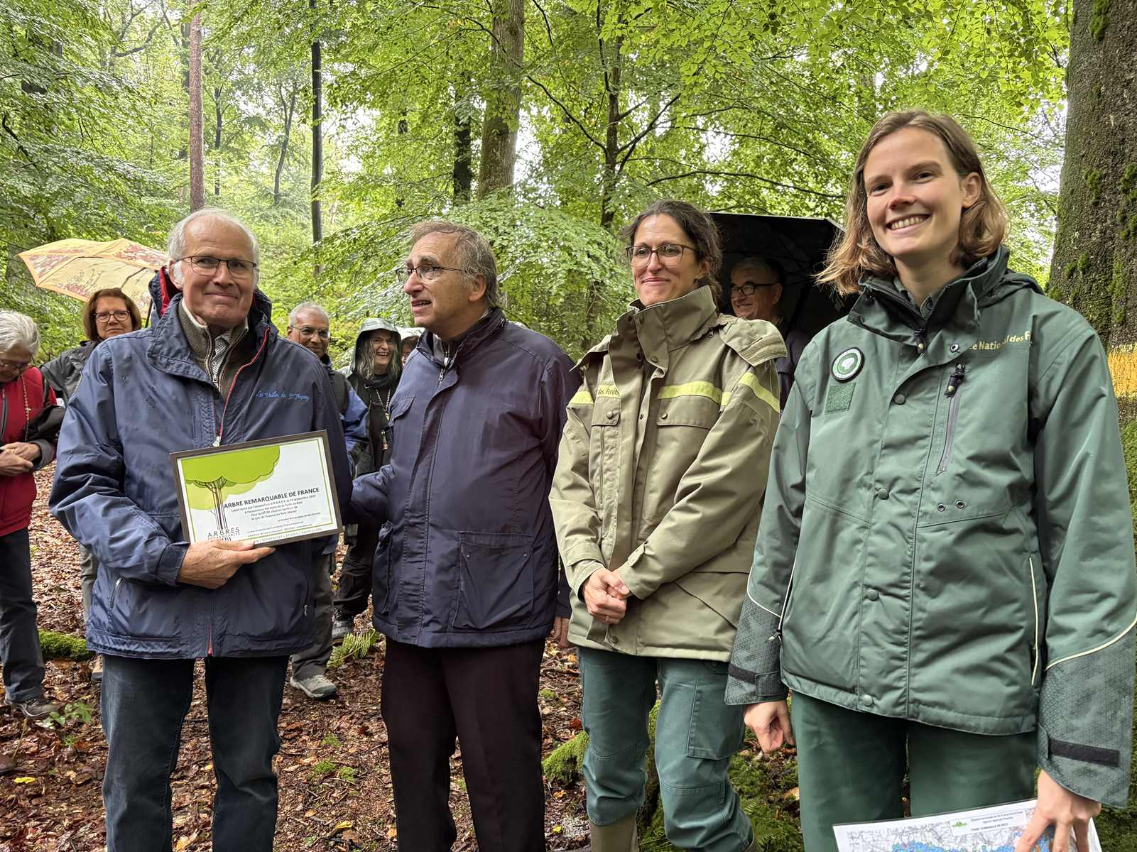 Des arbres remarquables labellisés en forêt de Retz