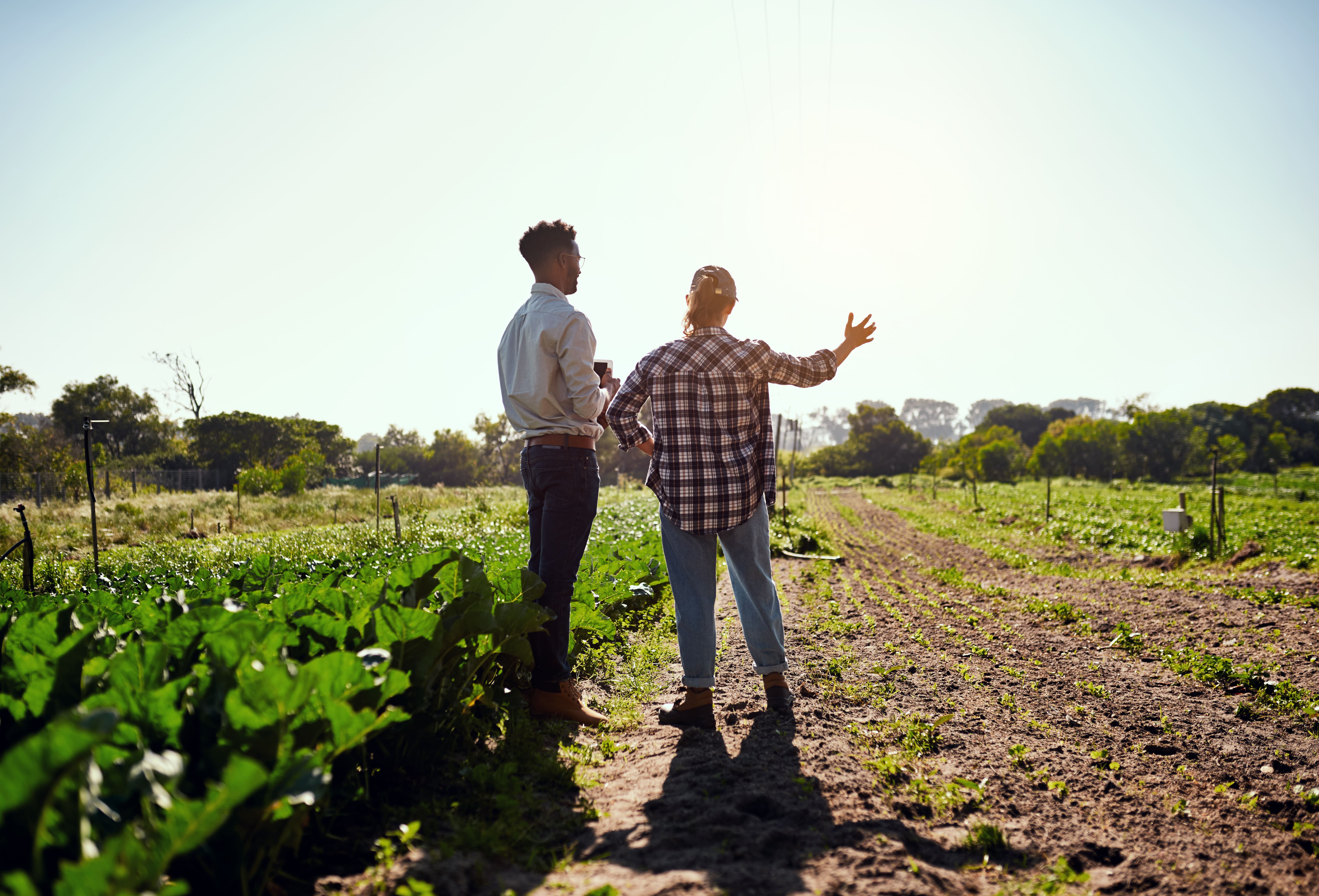 Le Salon de l’Installation et de la Transmission revient pour une nouvelle édition