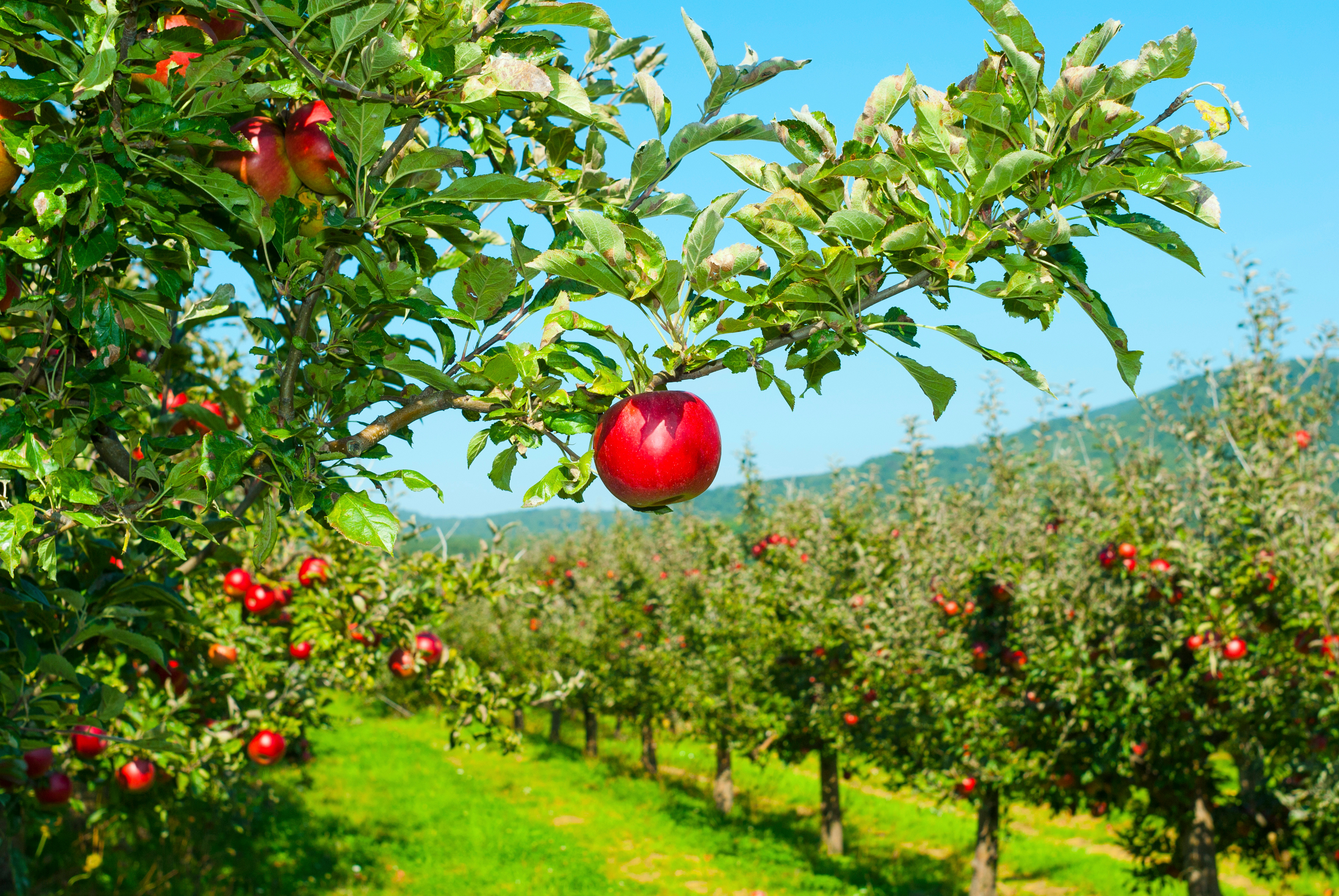 Au FoodLab UniLaSalle Beauvais, 