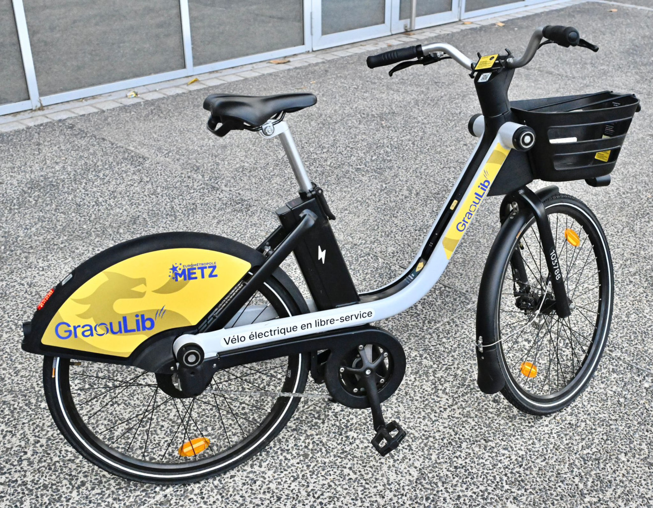 GraouLib rencontre un franc succès à Metz