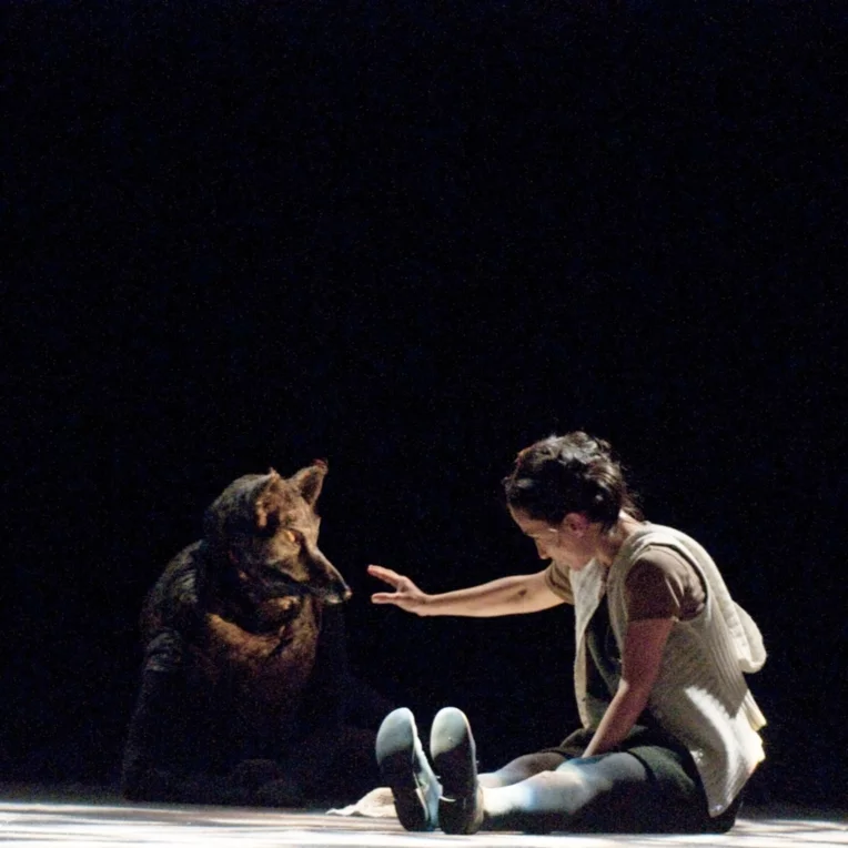 Des mots, des contes et des histoires à la Cité internationale de la langue française