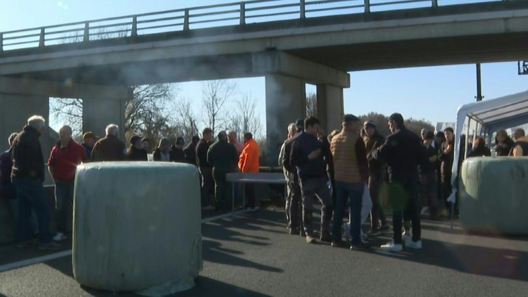 Dermatose: mobilisés sur l'A64, des agriculteurs prêts à y 