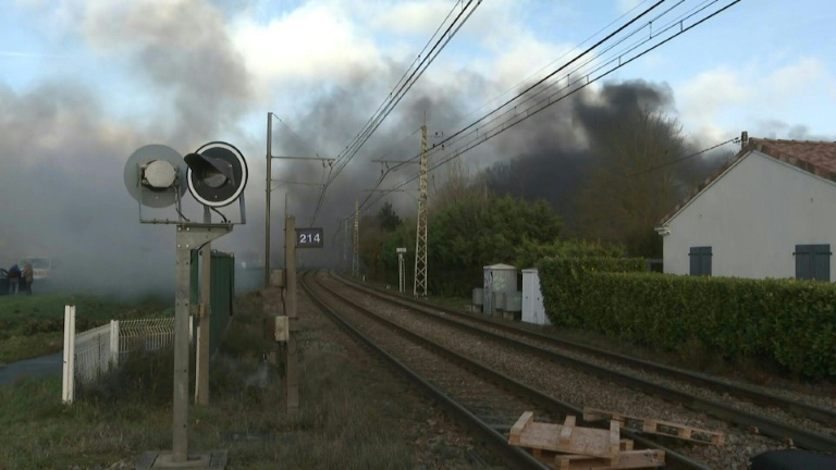 Dermatose: le gouvernement promet d'accélérer sur la vaccination