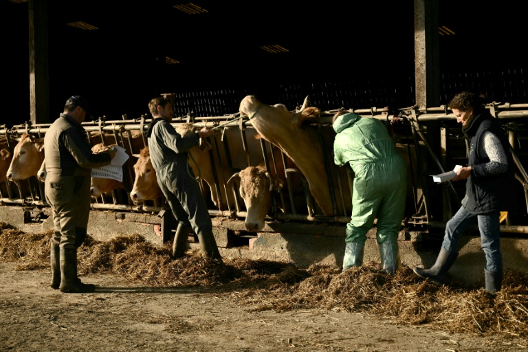 Dermatose: dans le Sud-Ouest, 