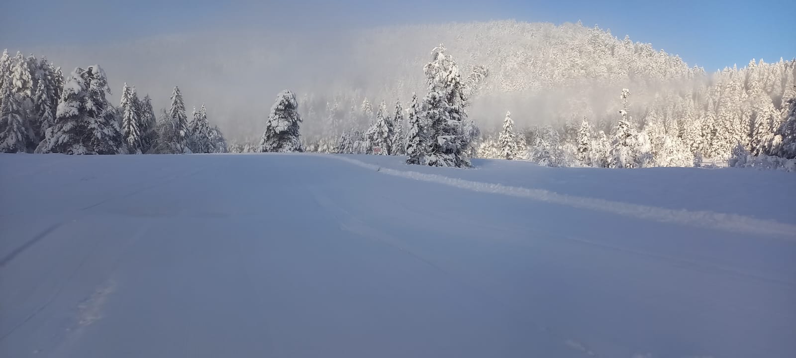La Bresse-Lispach : l’ouverture du domaine nordique booste le tourisme et l’économie des Vosges