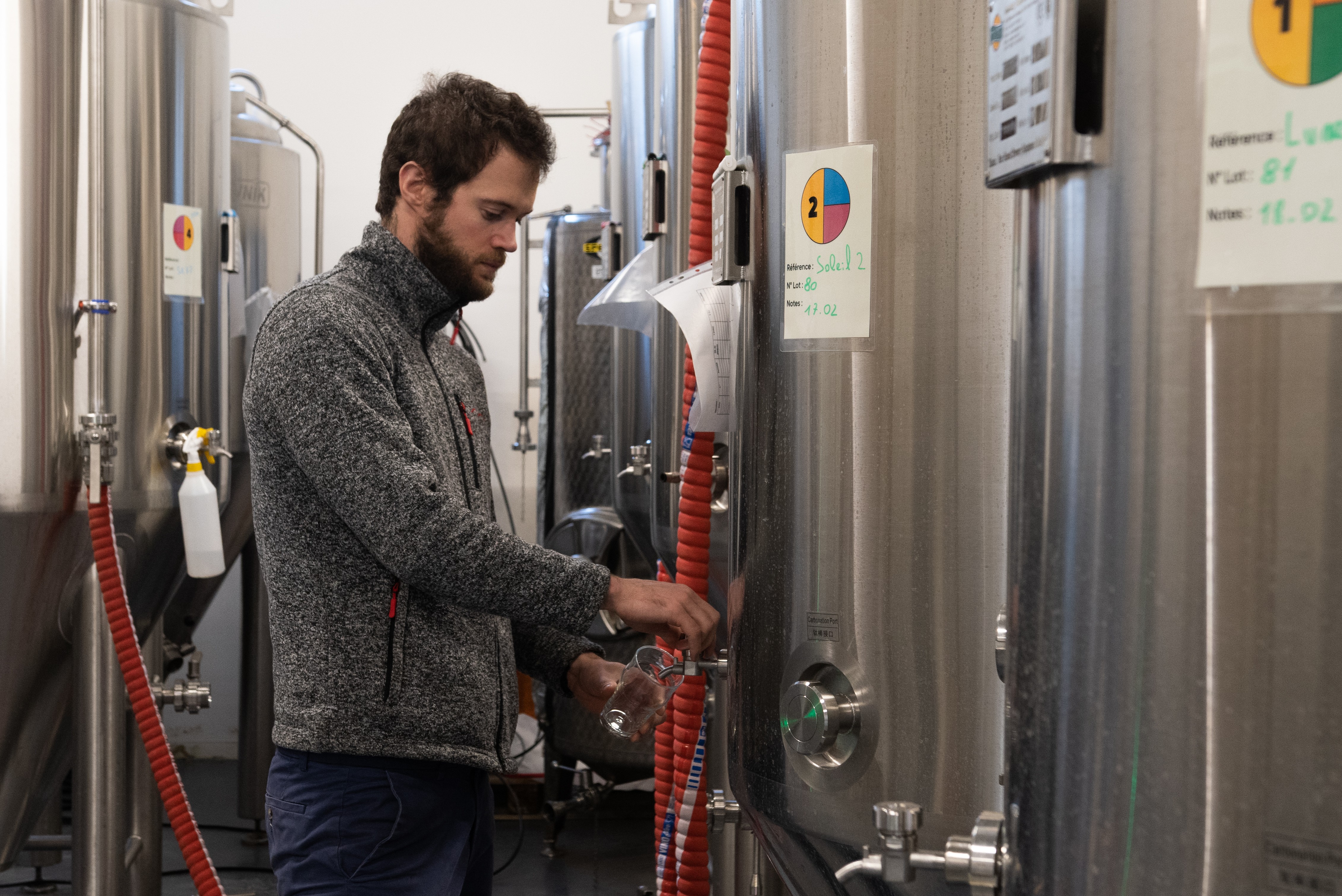 Archipel, le kombucha made in Quetigny