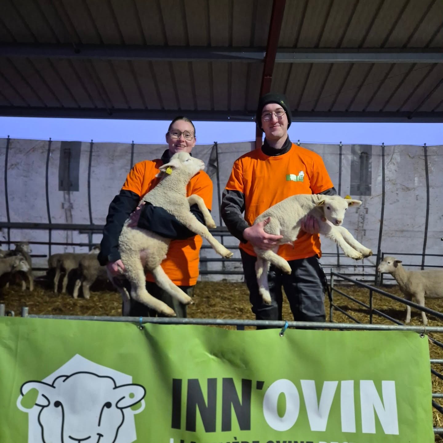 Ovinpiades : Un élève de Vervins représentera la région au concours national des jeunes bergers