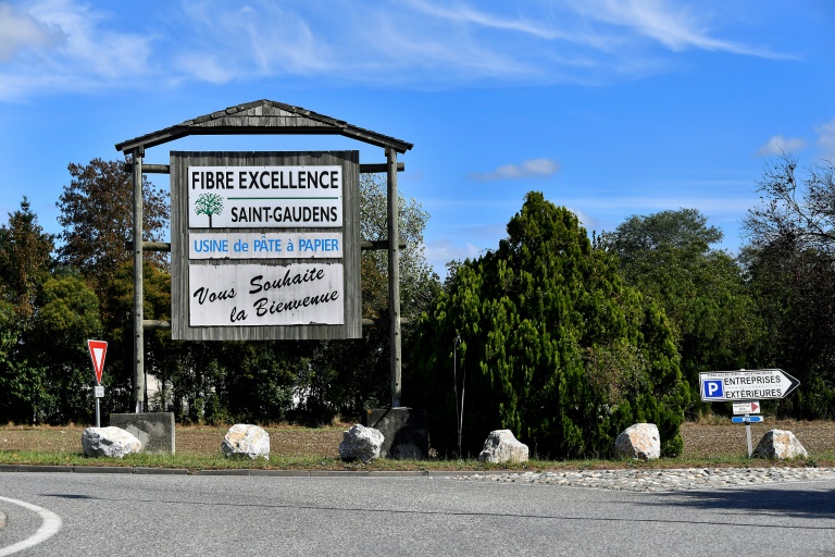 Des milliers de manifestants à Saint-Gaudens contre la fermeture de l'usine Fibre Excellence