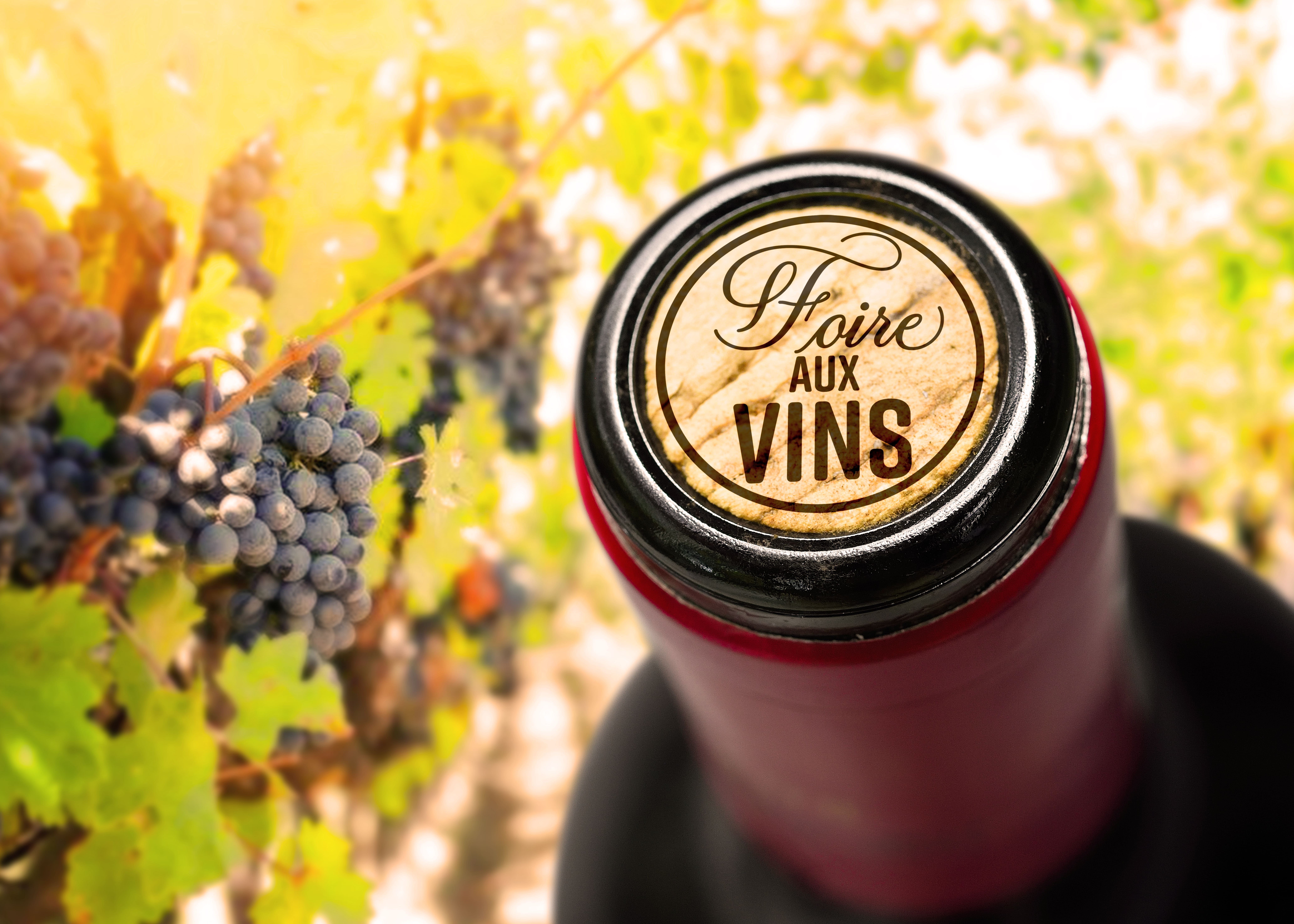 Foires de Saône-et-Loire : une dynamique confirmée malgré les contraintes