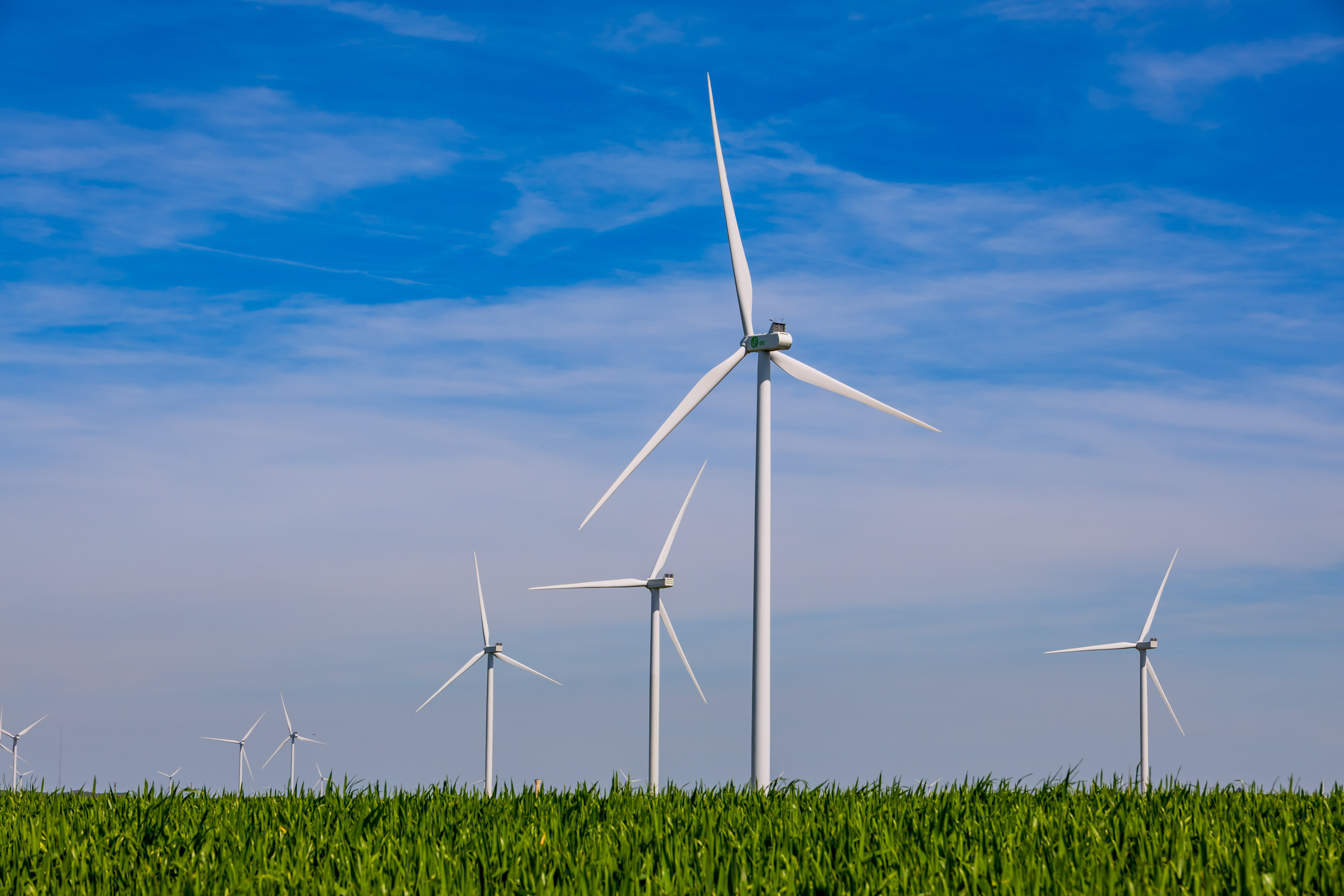 Le Conseil d’État annule l’autorisation du parc éolien de Montmort