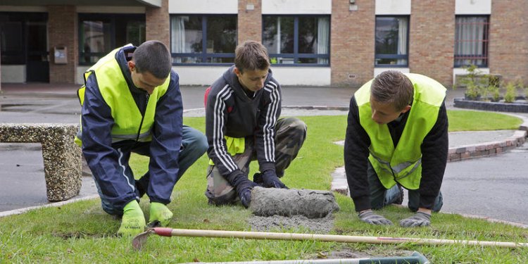 Dans l'Aisne, un concours pour développer les potagers dans les lycées